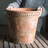 Keilson Pot Planter-775222643