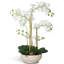 Silk Orchid Arrangement In Pot-823644236