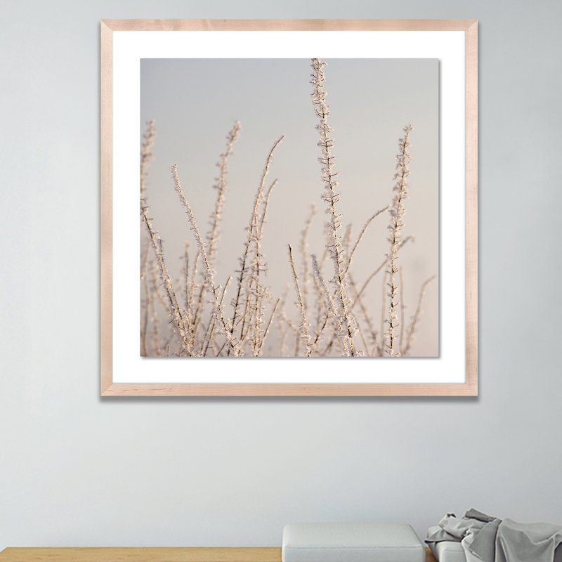 Hoar Frost White Print by Pernille Westh, 24" H x 24" W x 1.5" D, Natural