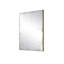 Rene Flat Metal Wall Mirror-60066304