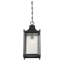 Savoy House Dunnmore 1-Light Outdoor Hanging Lantern in Black