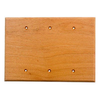 Traditional No Subject 3 - Gang Blank Wall Plate