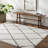 Cassundra Rectangle Geometric Machine Woven Polyester Area Rug in Charcoal/White-1953853430