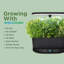 Noir AeroGarden Bounty