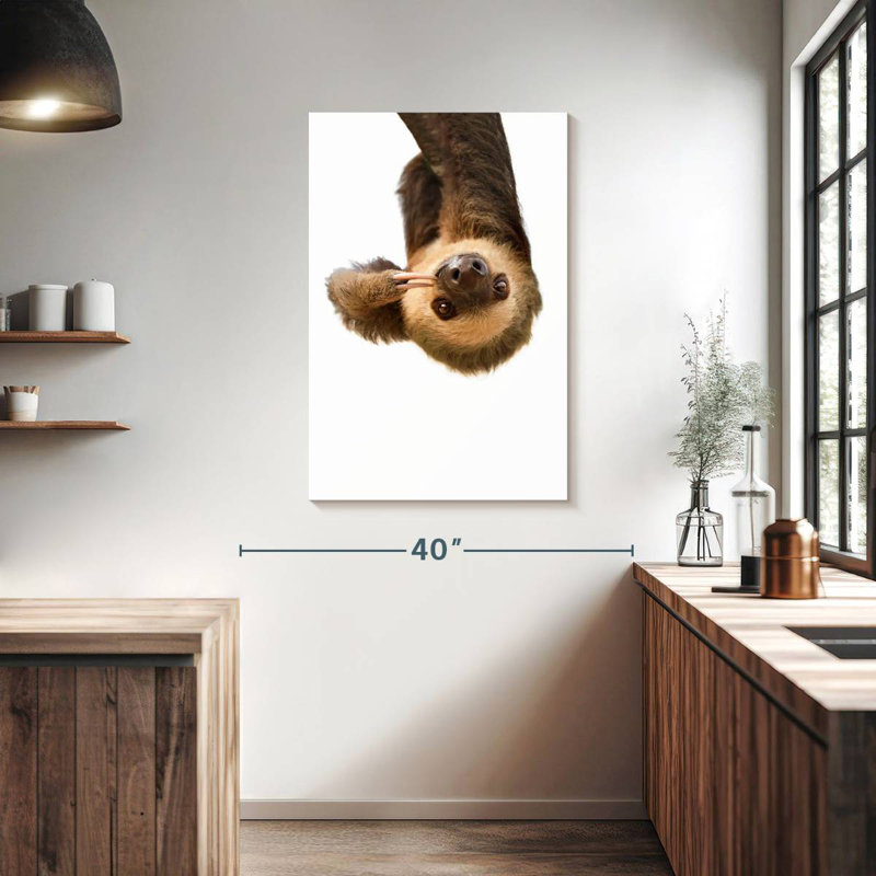 Paresseux ridicule, H 39 po x l 26 po