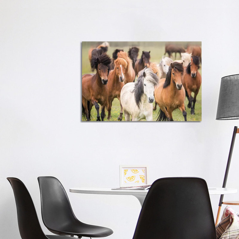 Grassland Horses III by PHBurchett - Wrapped Canvas Print, 101.6 cm H x 66.04 cm W x 1.91 cm D