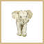 'Baby Elephant II' Framed Print-21183715
