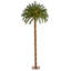 Arbre de Noël vert à plumes tropicales avec lumières DEL-243264156