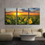 Champ de tournesols tournesols sur un fond de coucher de soleil - ensemble de 3 reproductions sur toiles tendues-124478438-56497758