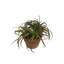 Plante artificielle en pot 8 po
