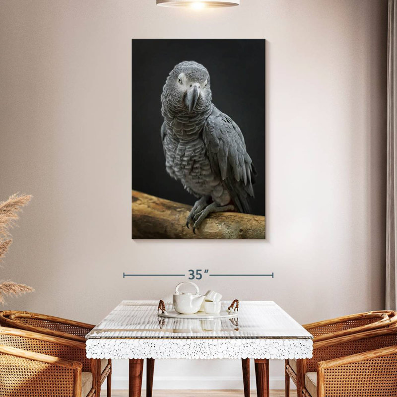 Brampt Congo Grey Parrot, 48" H x 32" W