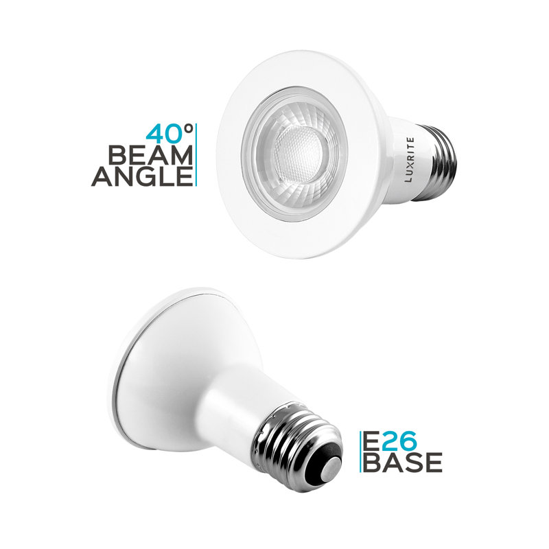 6,5 watts (50 watts équivalents), DEL PAR20, ampoule à intensité variable, culot E26 / moyen (standard), 5 000 K