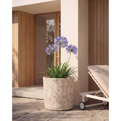 EPIRUS Pot Planter