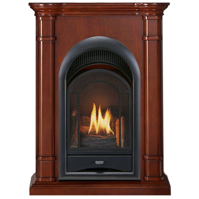 ProCom Dual Fuel Vent Free Gas Fireplace System - 15,000 BTU, T-Stat Control, Walnut Finish - Model# PCS150T-3W