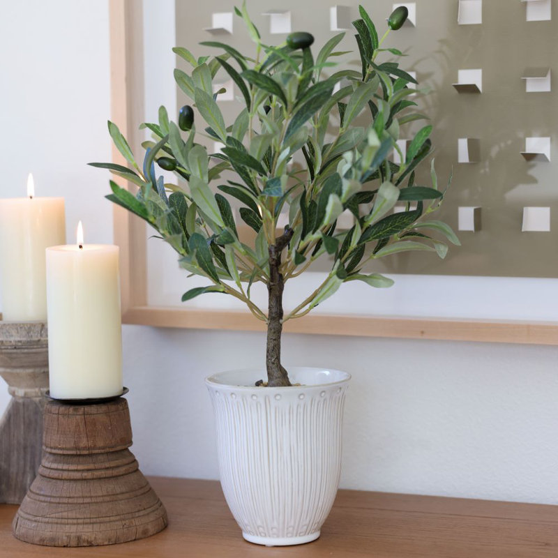 25.5" Olive Tree In 6" TEXTURE CERAMIC 6*6*6.25