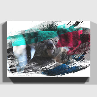 Koala Bear - Wrapped Canvas