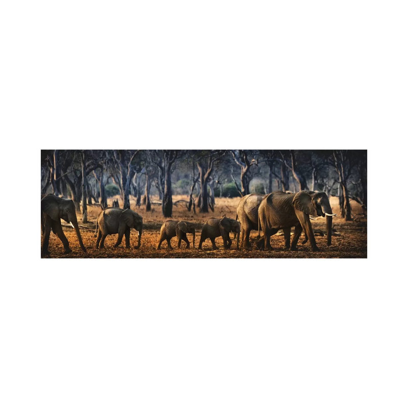 Untitled - Wrapped Canvas Panoramic Print, 30.48 cm H x 91.44 cm W x 3.175 cm D