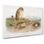 Prairie Dogs by J.W. Audubon - Wrapped Canvas-55322676