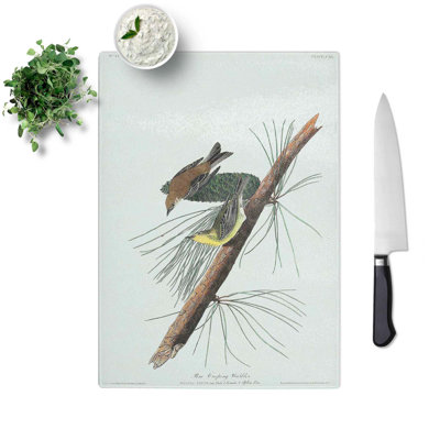 Tempered Glass Pine Creeping Warbler by John James Audubon Chopping Board