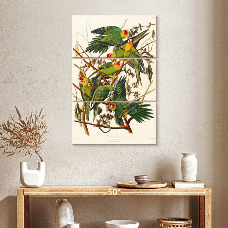 Brampt Carolina Parakeet, 65" H x 42" W