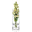 Colner Glass Cylinder Vase Set-1866809940-1860858808