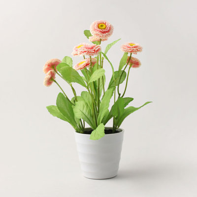 29cm Plant
