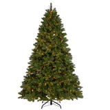 7.5 ft. Downswept Douglas Fir Tree with Dual Color® LED Cosmic Lights®
