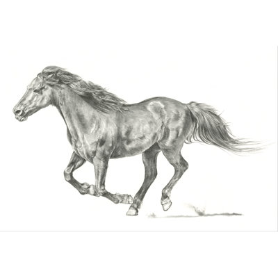 Portrait de cheval sauvage I