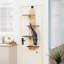 150 cm H Cat Tree / Condo