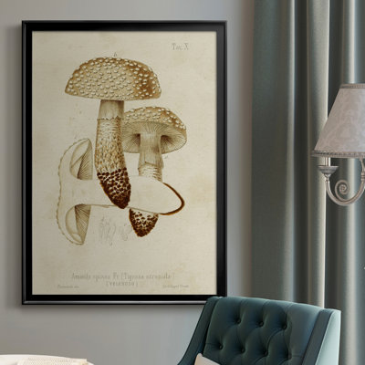 «Mushroom Variétés» - reproduction d'art sur toile