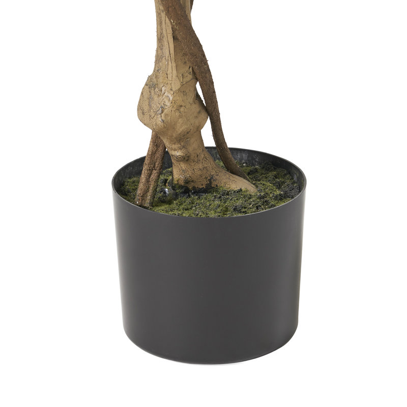 70.9'' Faux Ficus Tree in Pot, 47.24" H x 23.62" W x 23.62" D