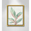 Gingembre II - reproduction d'art-55542000-55542019