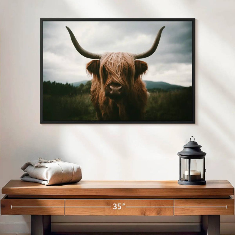 Brampt Open Field Highland Cow, H 17 po x l 25 po