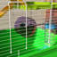 Très grande cage de jeu pour hamster 23 po - 5 niveaux, tubes, tunnels, conception sécuritaire, confortable