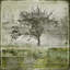 Early Winter IV Print-431753298-431753310