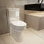 Toilette à double chasse