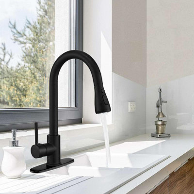 RENIST Pull Down Kitchen Faucet