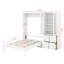 Queen Size Murphy Bed with Reversible Left-Right Side Cabinet, Acrylic Doors-1196717018