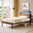Hubele Metal Platform Bed with USB LINER and LED Lights-2045067292