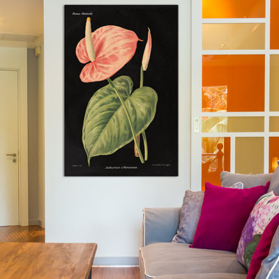 Anthurium Ferrierense, impression sur toile tendue