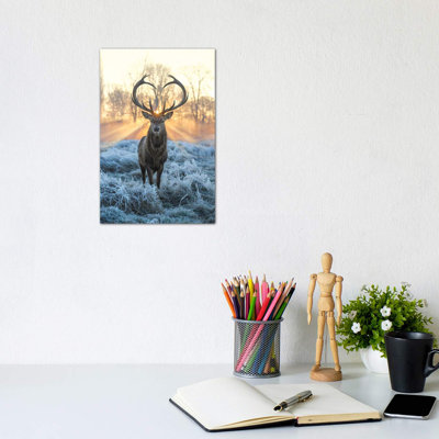 Love You Deer Fire And Ice by Max Ellis - Wrapped Canvas Print