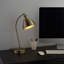 Ziemer Metal Desk Lamp