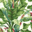 Rouleau de papier peint 27 pi x l 27 po Wragby-2109537406