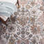 Tapis oriental gris / bleu Radium-286293386
