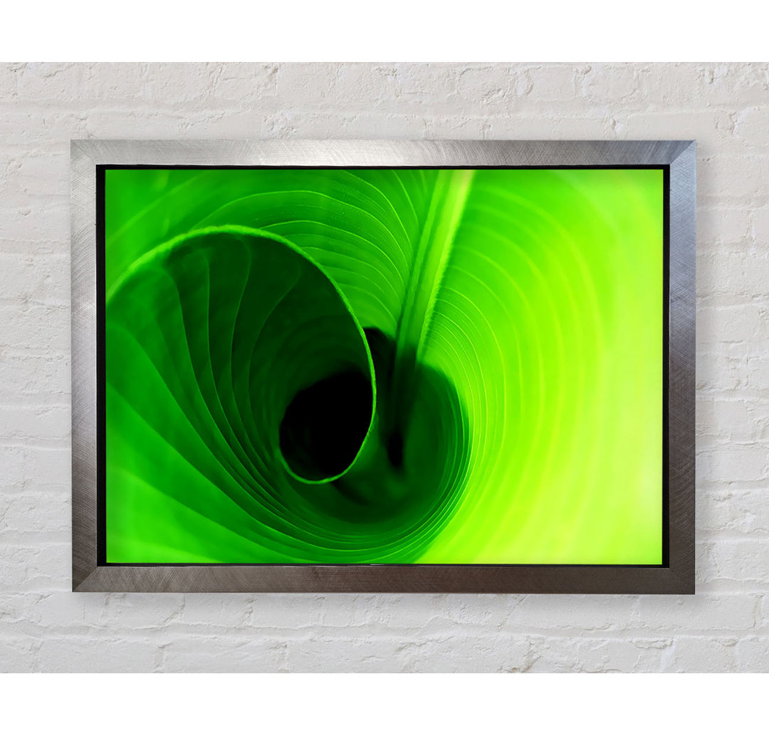 Twist Of A Green Leaf - Einzelner Bilderrahmen Kunstdrucke