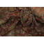 Tapis traditionnel pré-1900 10 x 11