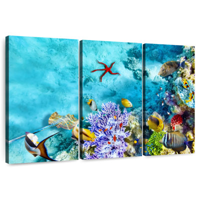 Scène de vie sous l'eau