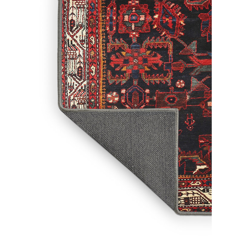 Ieronim Oriental Indoor Rug, Rectangle 4' x 6'