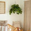 24 po Pothos artificiels résistants aux rayons UV avec 50 lumières DEL blanc chaud dans un panier suspendu blanc (intérieur / extérieur)
