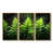 Toile avec cadre flottant or